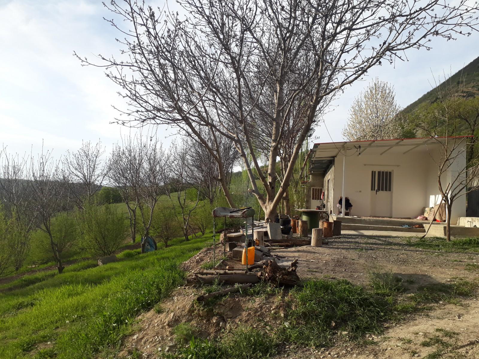 سوییت جنگلی کلیبر4