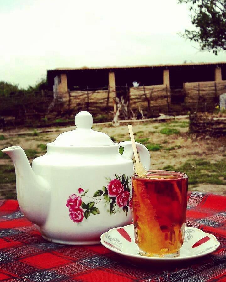 اتاق 1