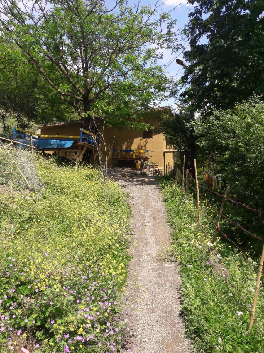 سوئیت اجاره ای در ماسوله
