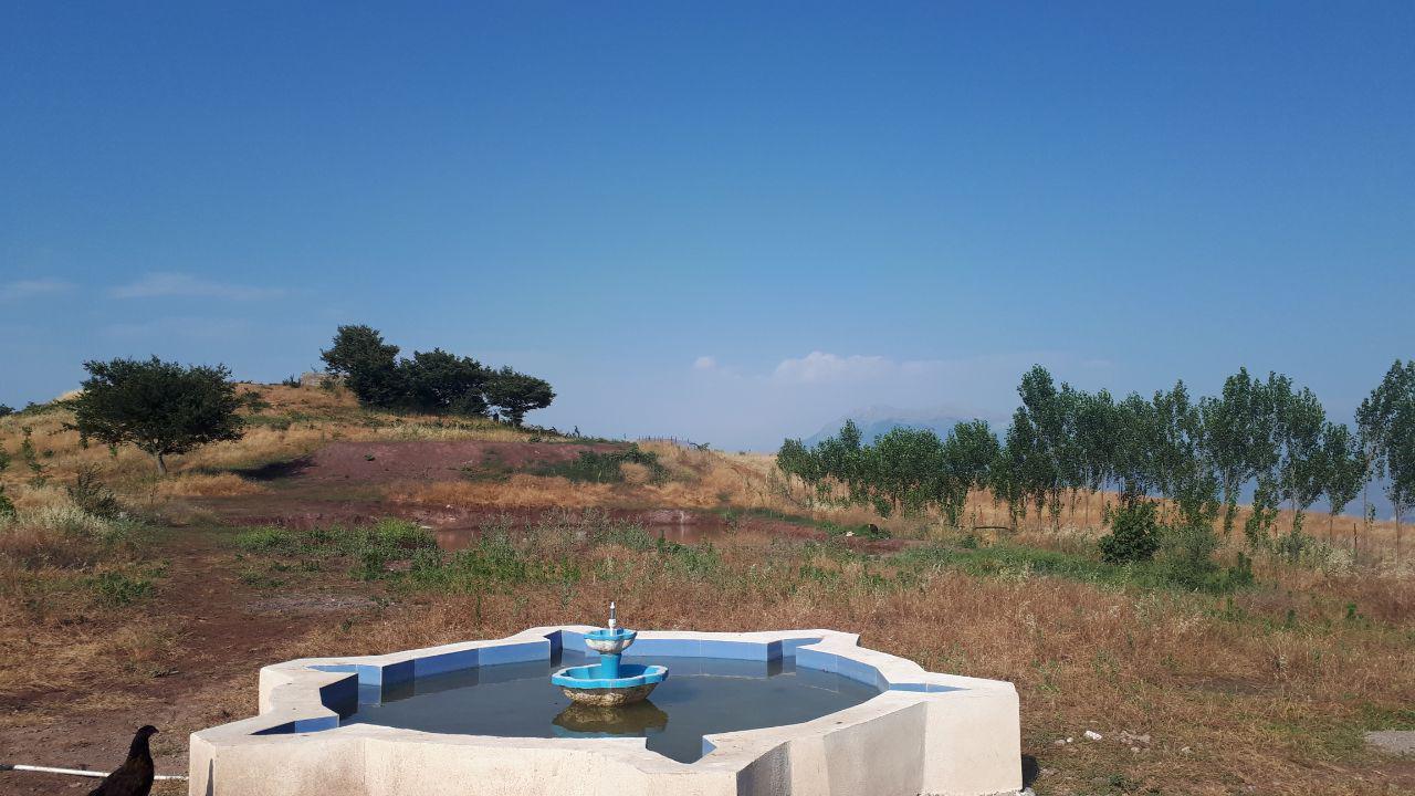 اتاق بلبل دینگار