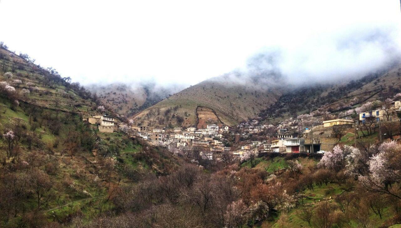اتاق بوژانه