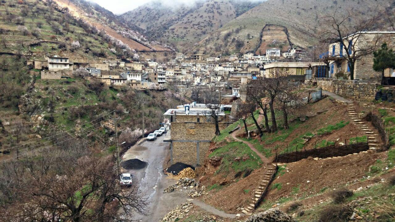 اتاق بوژانه