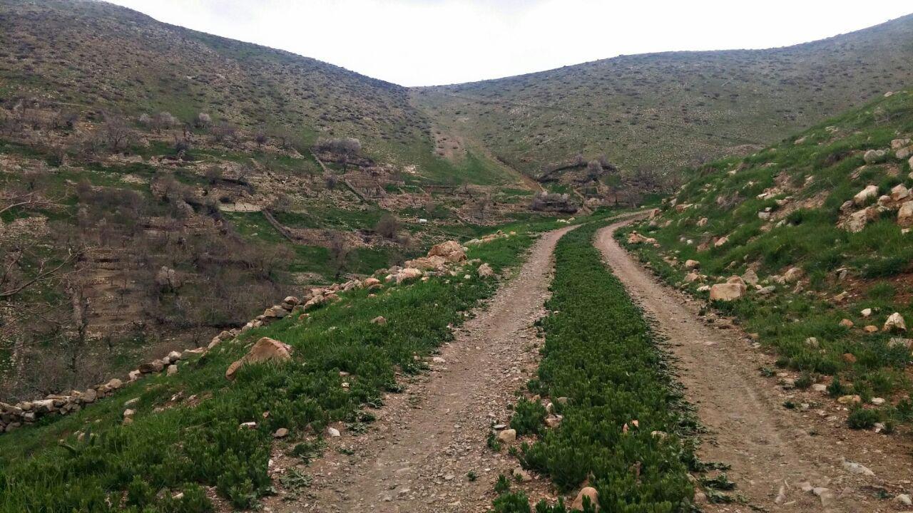 اتاق بوژانه