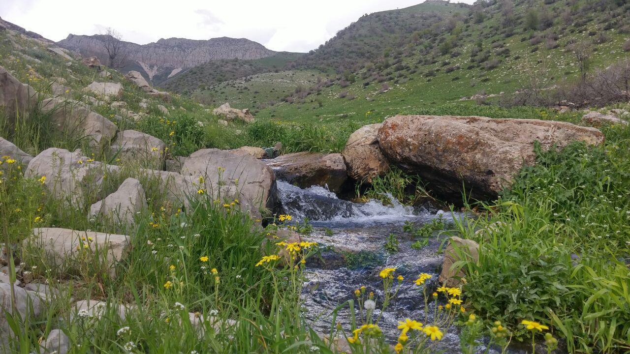 اتاق بوژانه