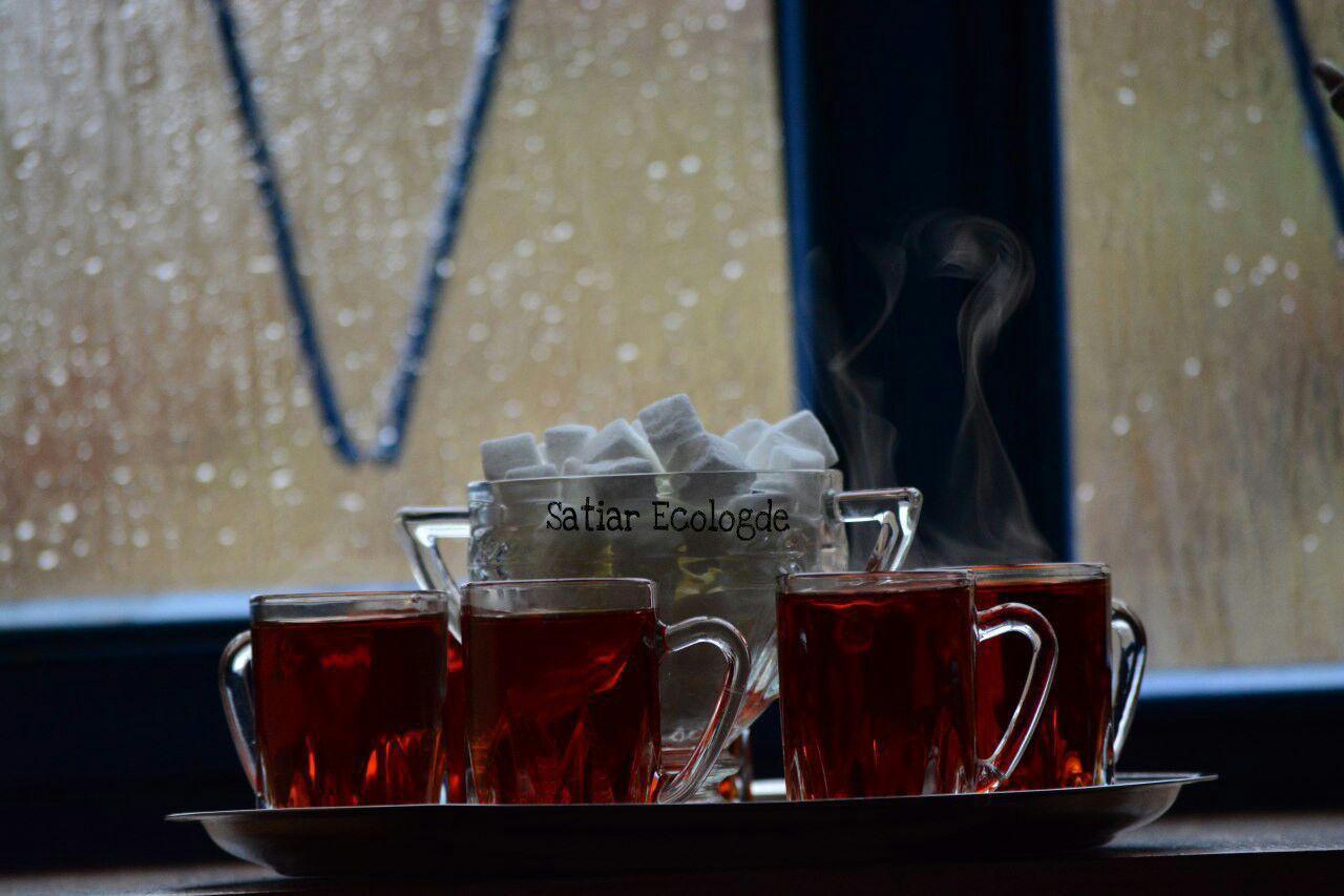 اتاق بوژانه
