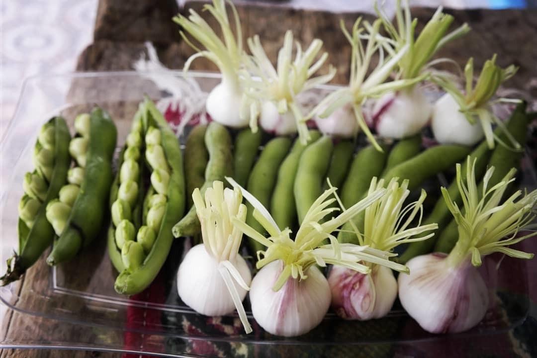 بوم گردی در شهر رودبار