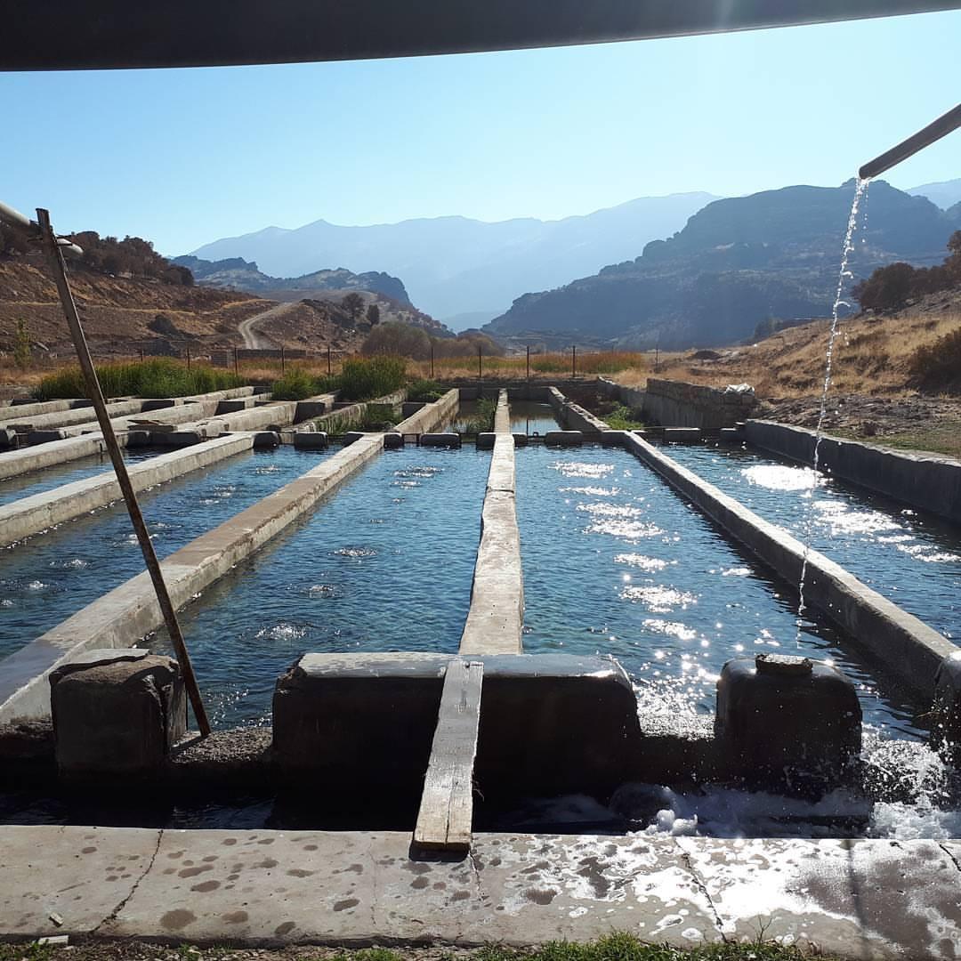 اتاق بوم گردی خرم آباد