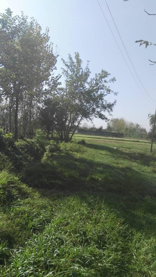 خانه بوم گردی در رشت