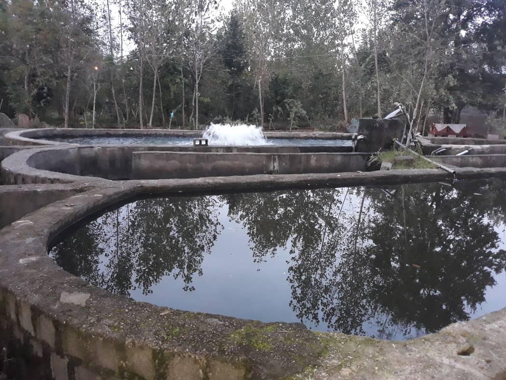 خانه بوم گردی در رشت