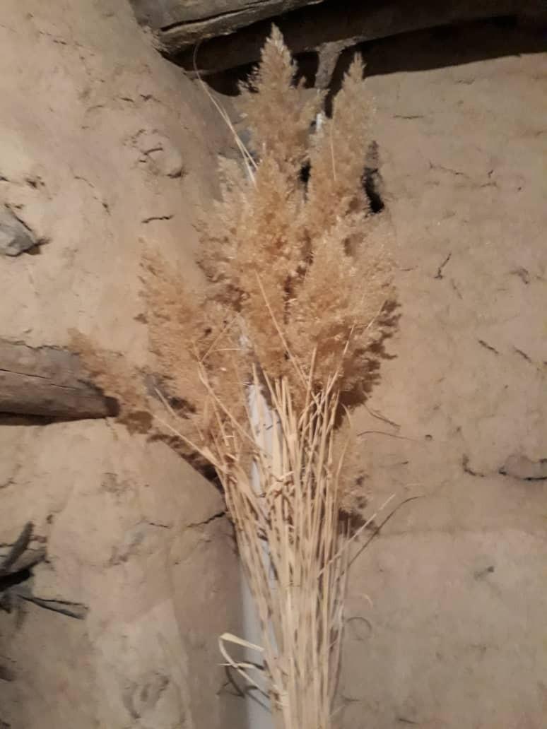 اتاق 4