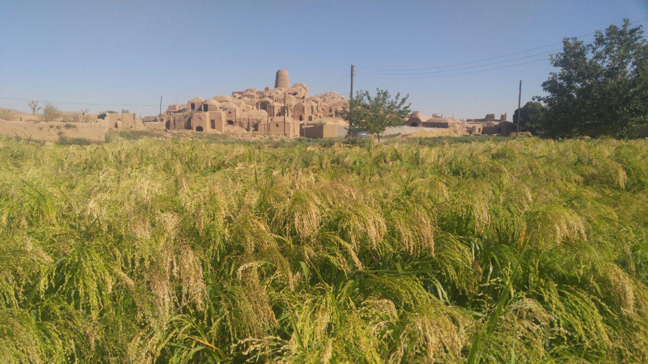 اتاق 1