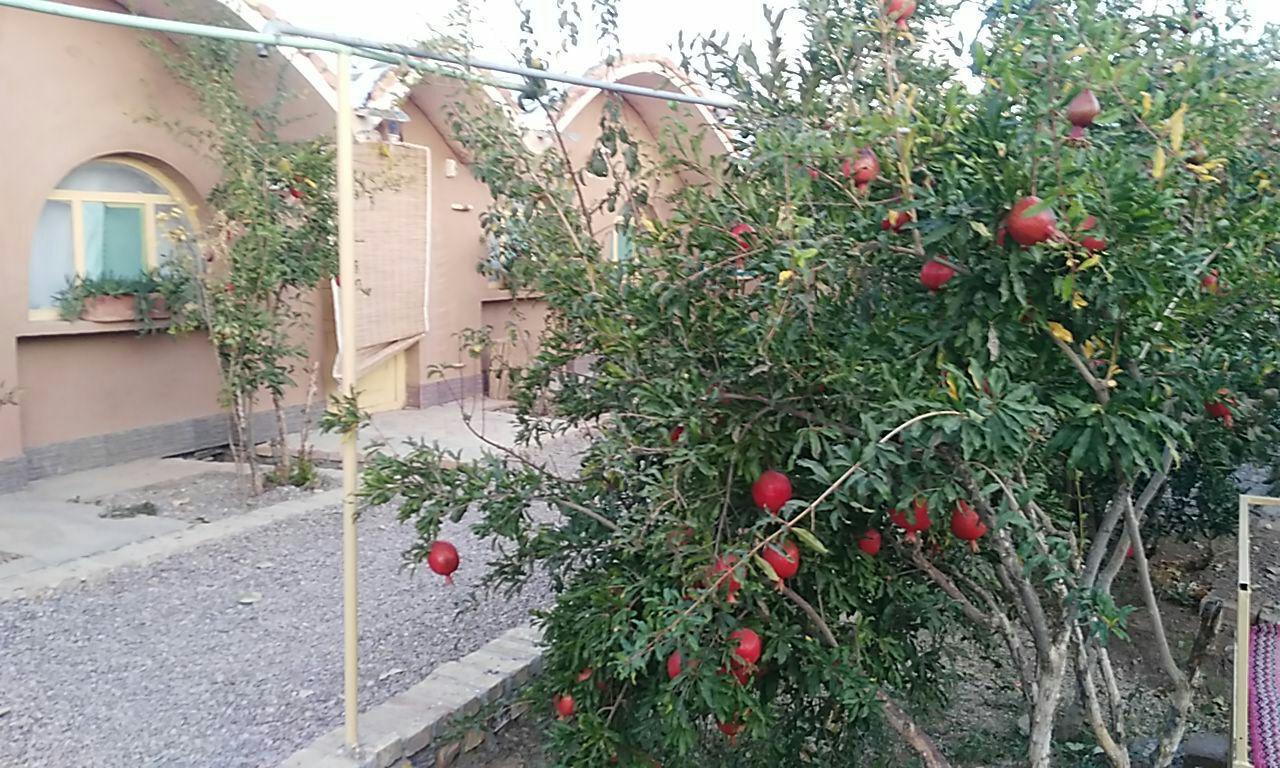 بوم گردی خراسان جنوبی