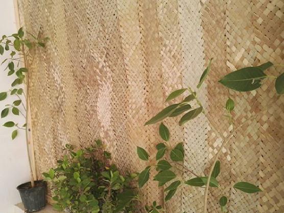 اجاره بوم گردی بوشهر
