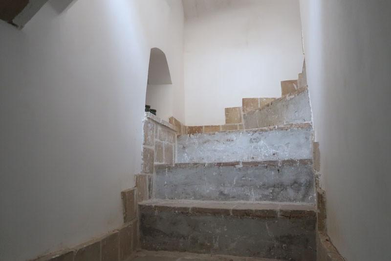 بوم گردی شاخه نبات یزد