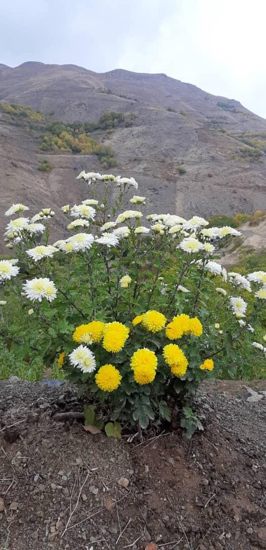 خانه بوم گردی در سنندج