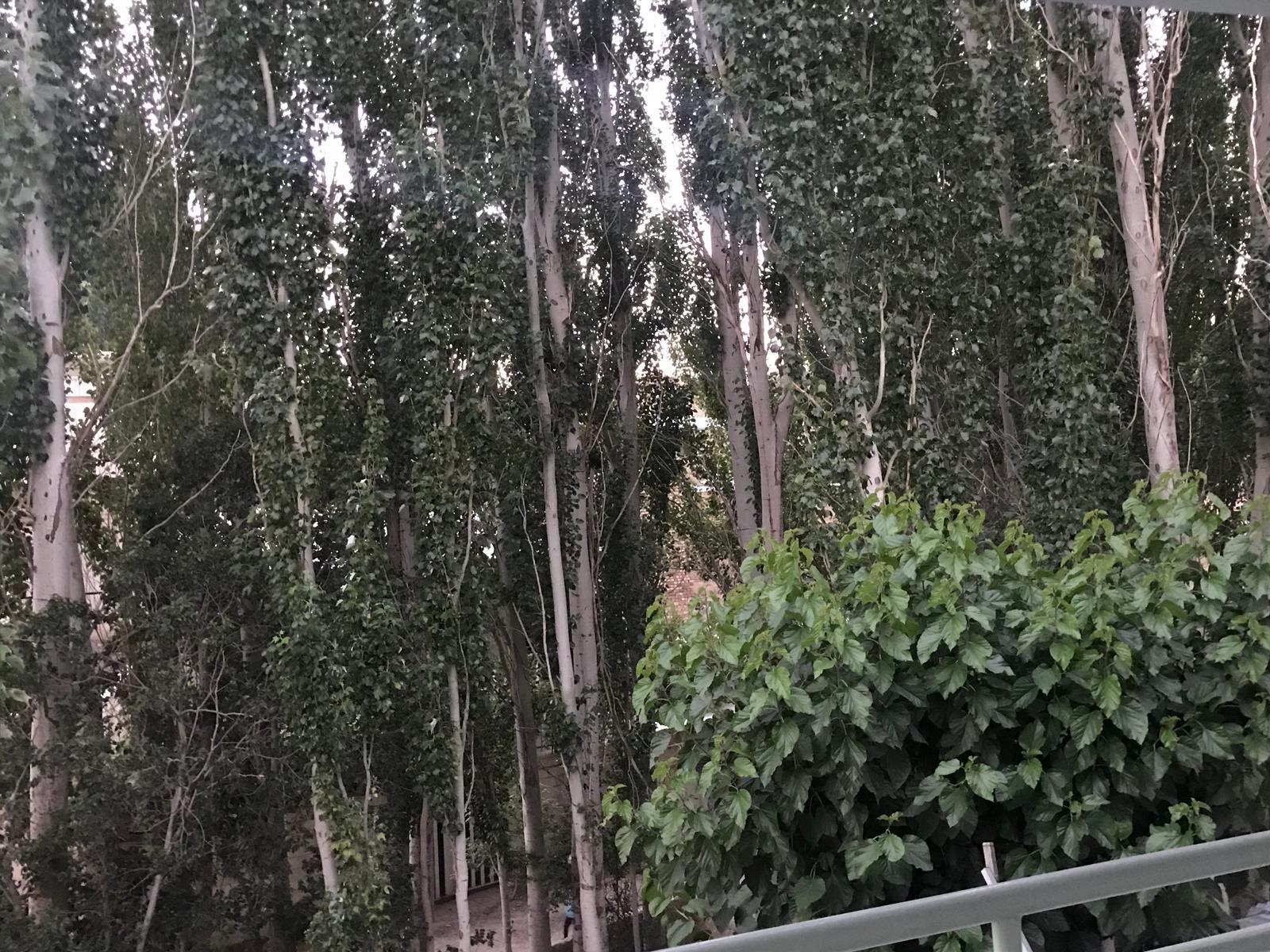اجاره بوم گردی نطنز