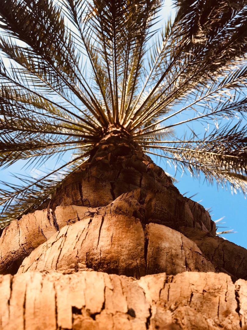 بوم گردی نرماشیر