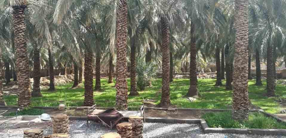 بوم گردی نرماشیر