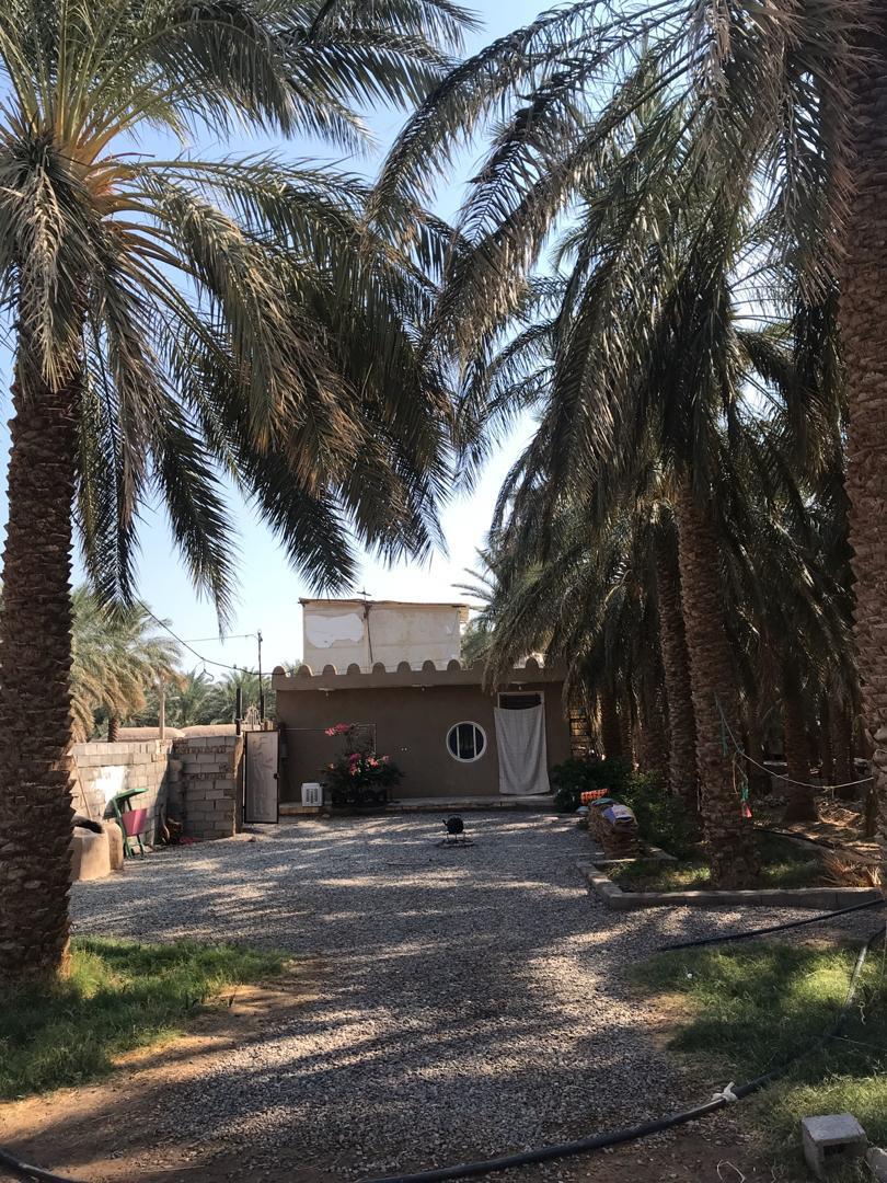 بوم گردی نرماشیر