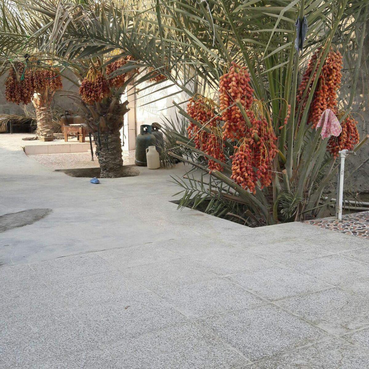 خانه بوم گردی در قشم