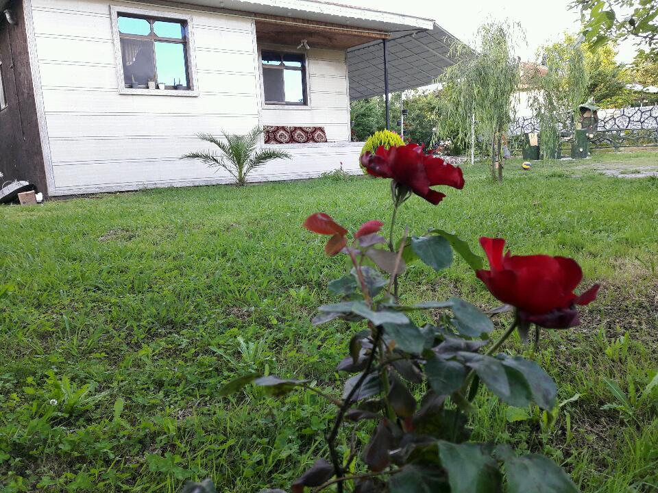 ویلا باغ اجاره ای ماسال