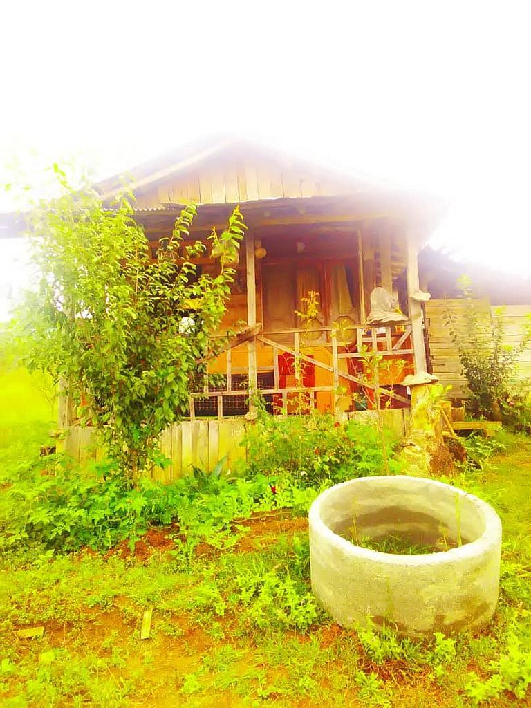 اجاره کلبه جنگلی بهشهر 