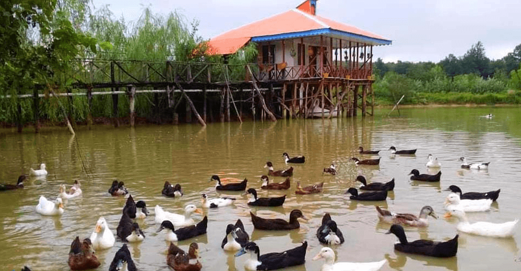 اقامتگاه ویلای آب رشت