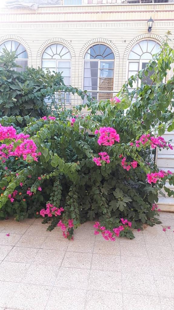 واحد دو خوابه در مرکز شهر