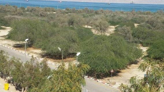 آپارتمان در کیش رو به دریا