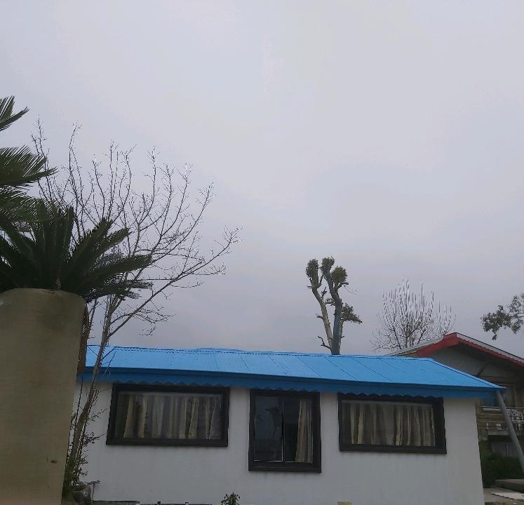 سوئیت در ساحل قو انزلی