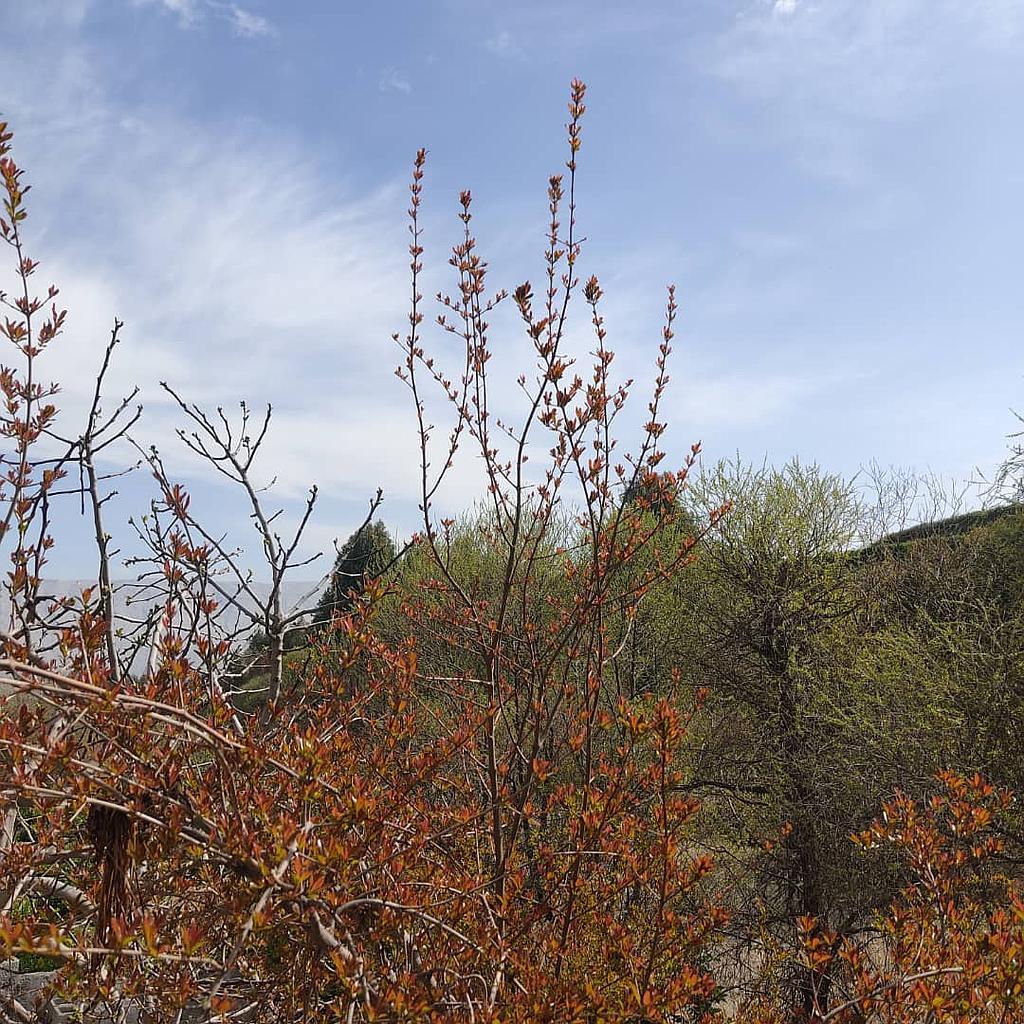 خانه سنتی ستاره دره شهر