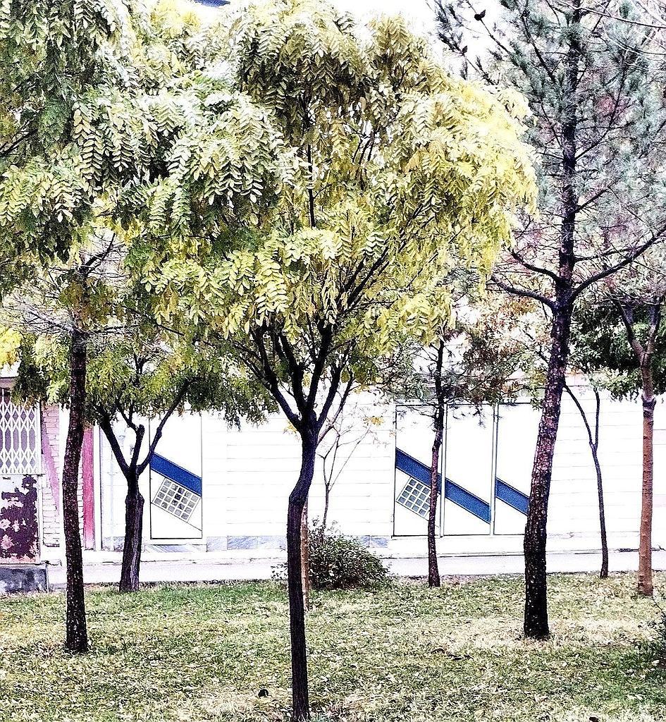 ویلایی همکف پردیس بروجرد 