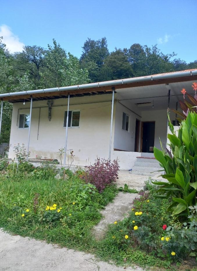 سوئیت ماه تی تی 