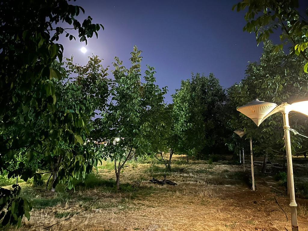 خونه باغ تمیز یاسوج