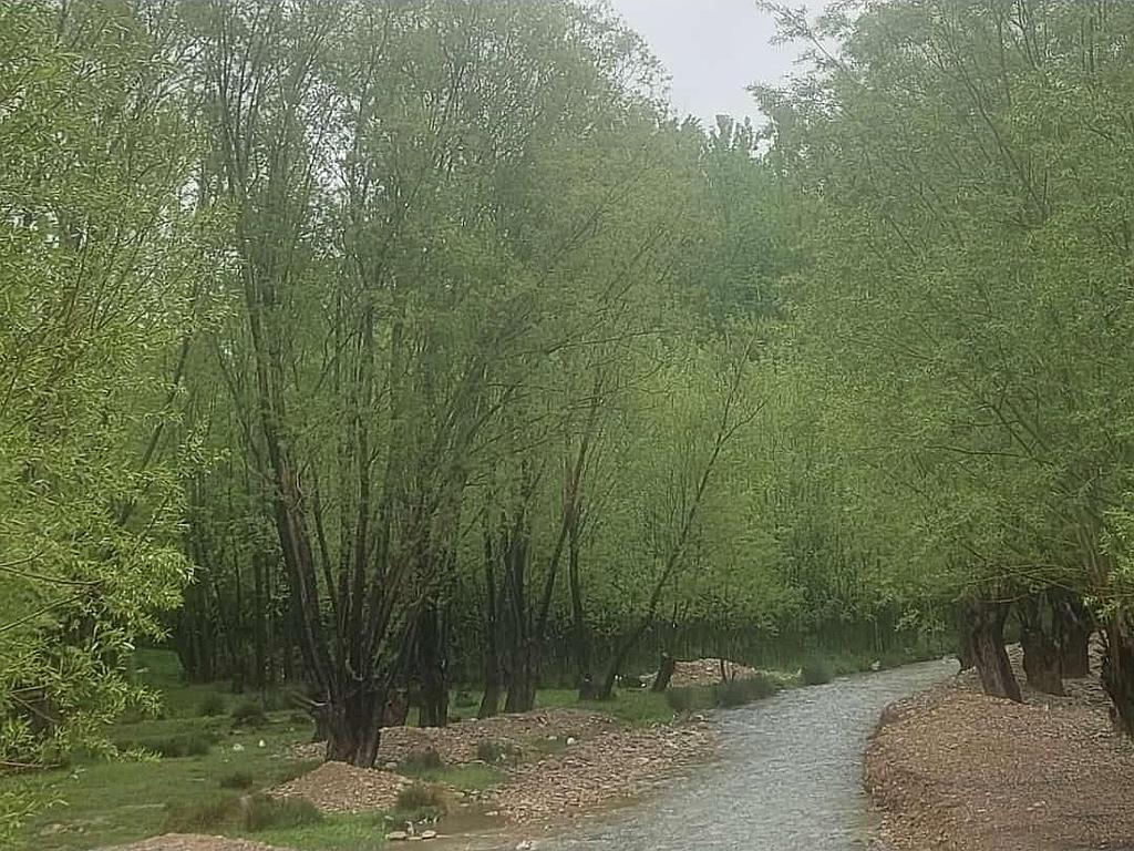 ویلای تک خواب چغاخور