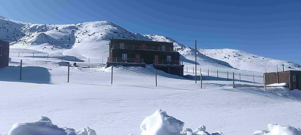 بومگردی گلیل