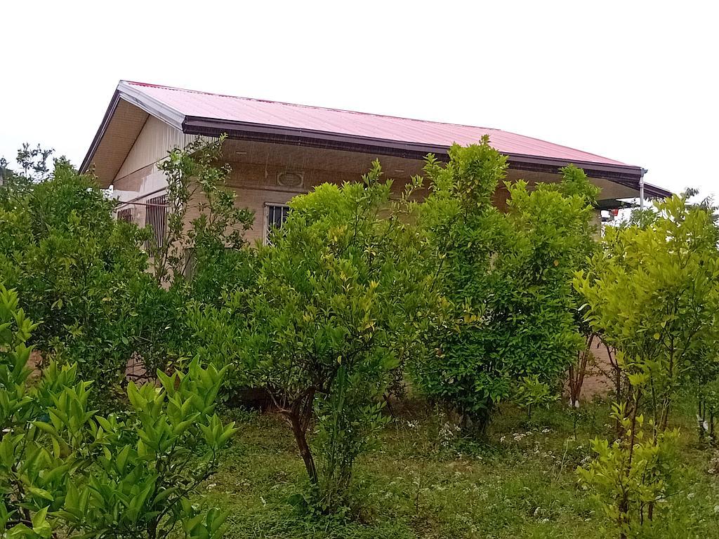 ویلای تک خوابه سرسبز