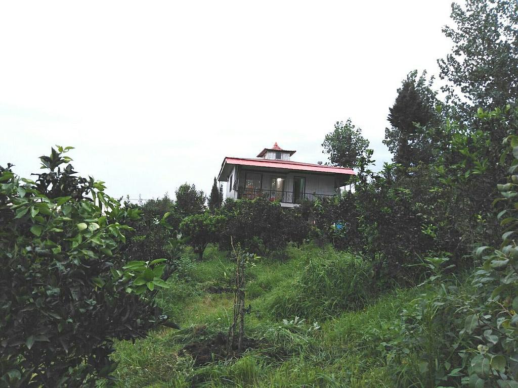 خانه اجاره ای ارزان در بابل