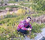 وحید  فتاح پور 