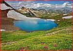 مرتضی اخلاصی