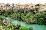 آرمین ارزانی