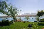 مهدی سلمانی