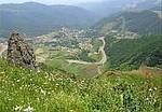امیر حسینی 