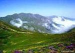 مهران خلعتبری