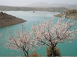 سید یحیی سید فتاحی