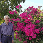 محمد صادقی زاده