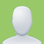 پرستو  بجاری