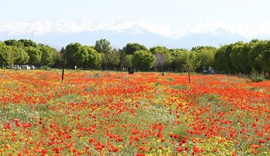اجاره ویلا در جلفا کوهستانی یک خوابه