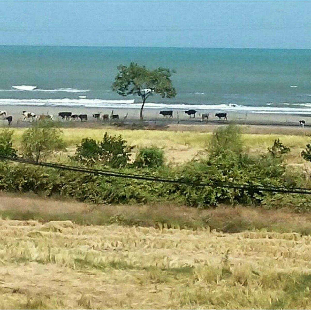 اقامتگاه چهارتخته لب ساحل در تالش