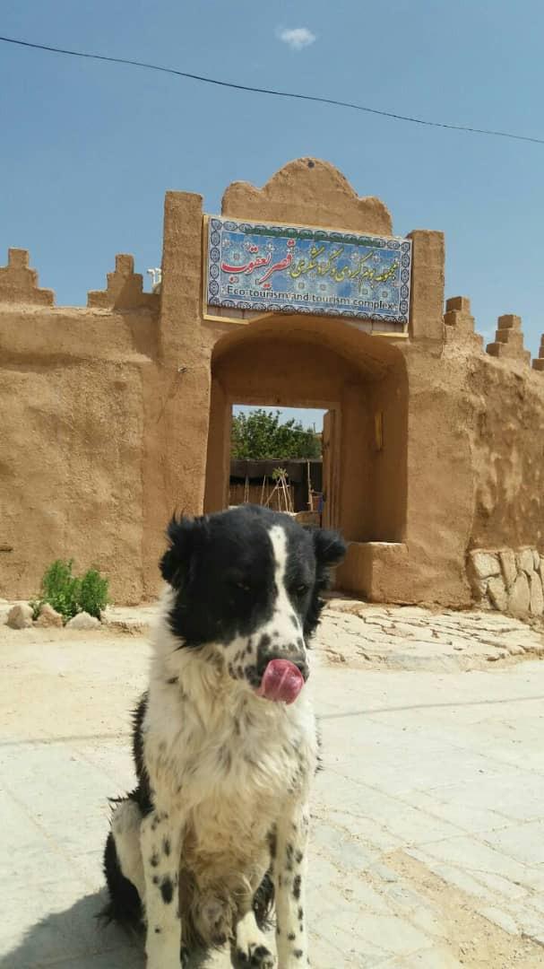 اقامتگاه بوم گردی قصر یعقوب در صفاشهر